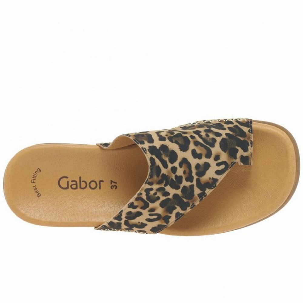 Gabor Lanzarote Printed Tå Loop Mules Dame Beige Leopard | DK0002967