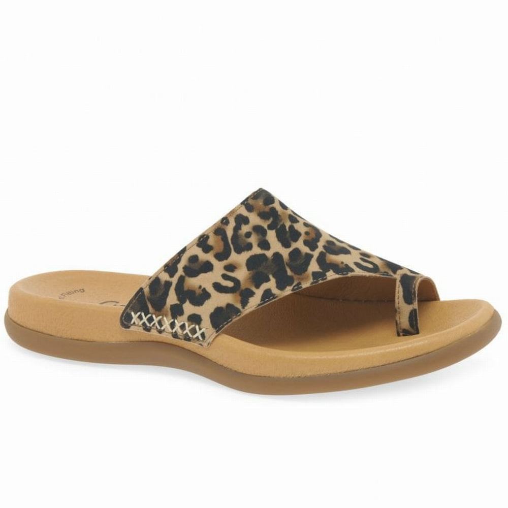 Gabor Lanzarote Printed Tå Loop Mules Dame Beige Leopard | DK0002967