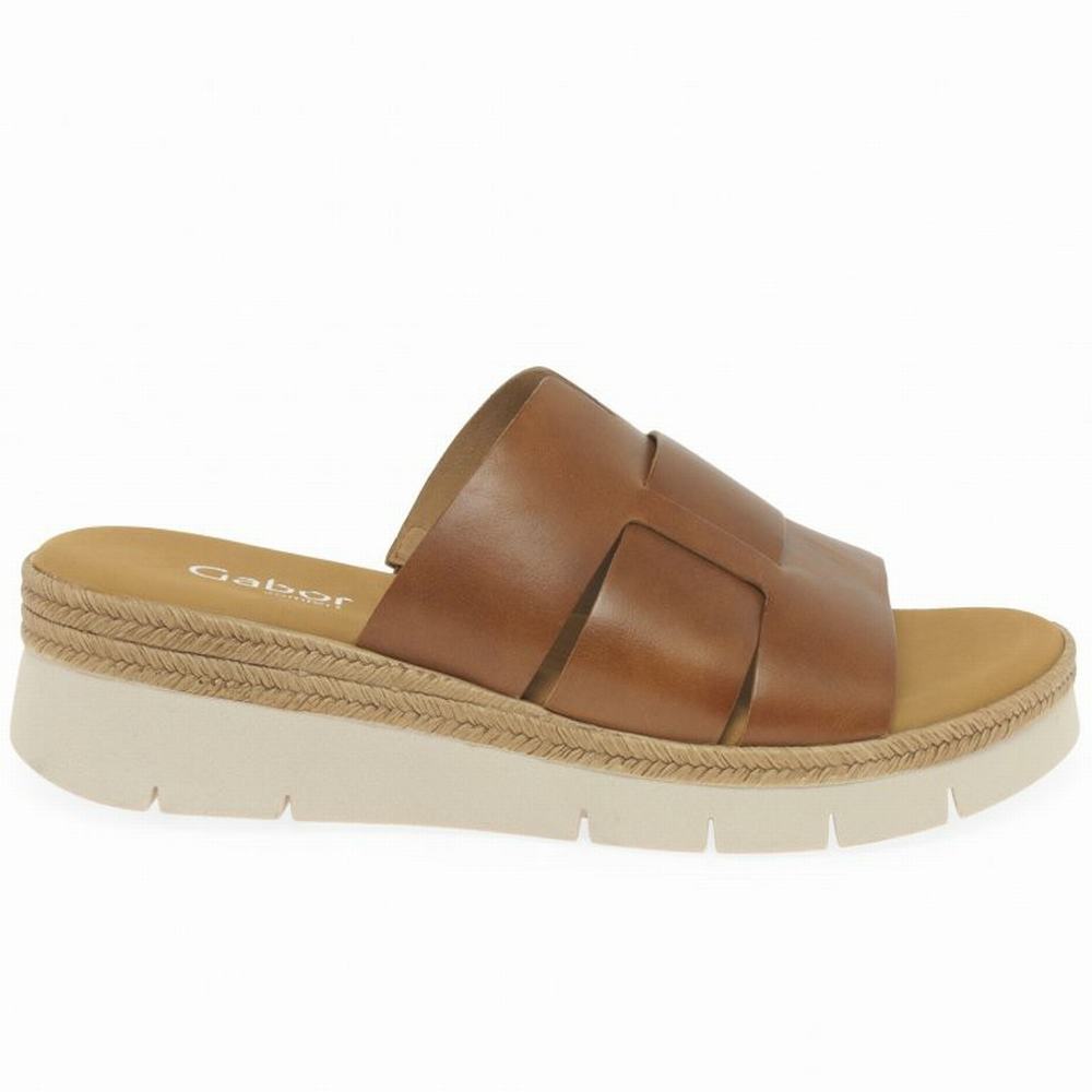 Gabor League Mule Sandals Kilehæl Sandaler Dame Brune | DK0002195