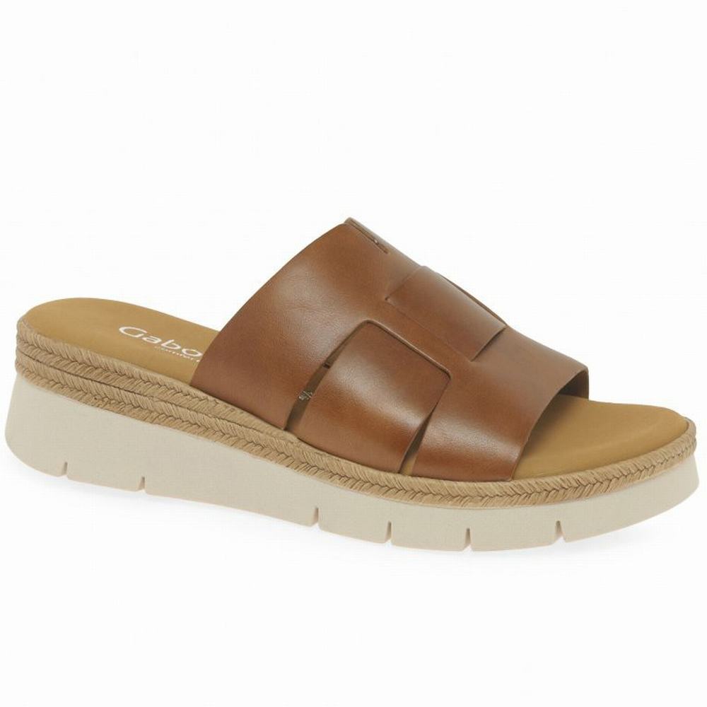 Gabor League Mule Sandals Kilehæl Sandaler Dame Brune | DK0002195