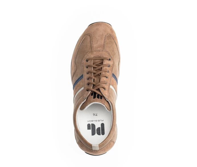 Gabor Sneakers Herre Beige | DK0000978