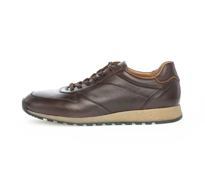 Gabor Sneakers Herre Brune | DK0000745