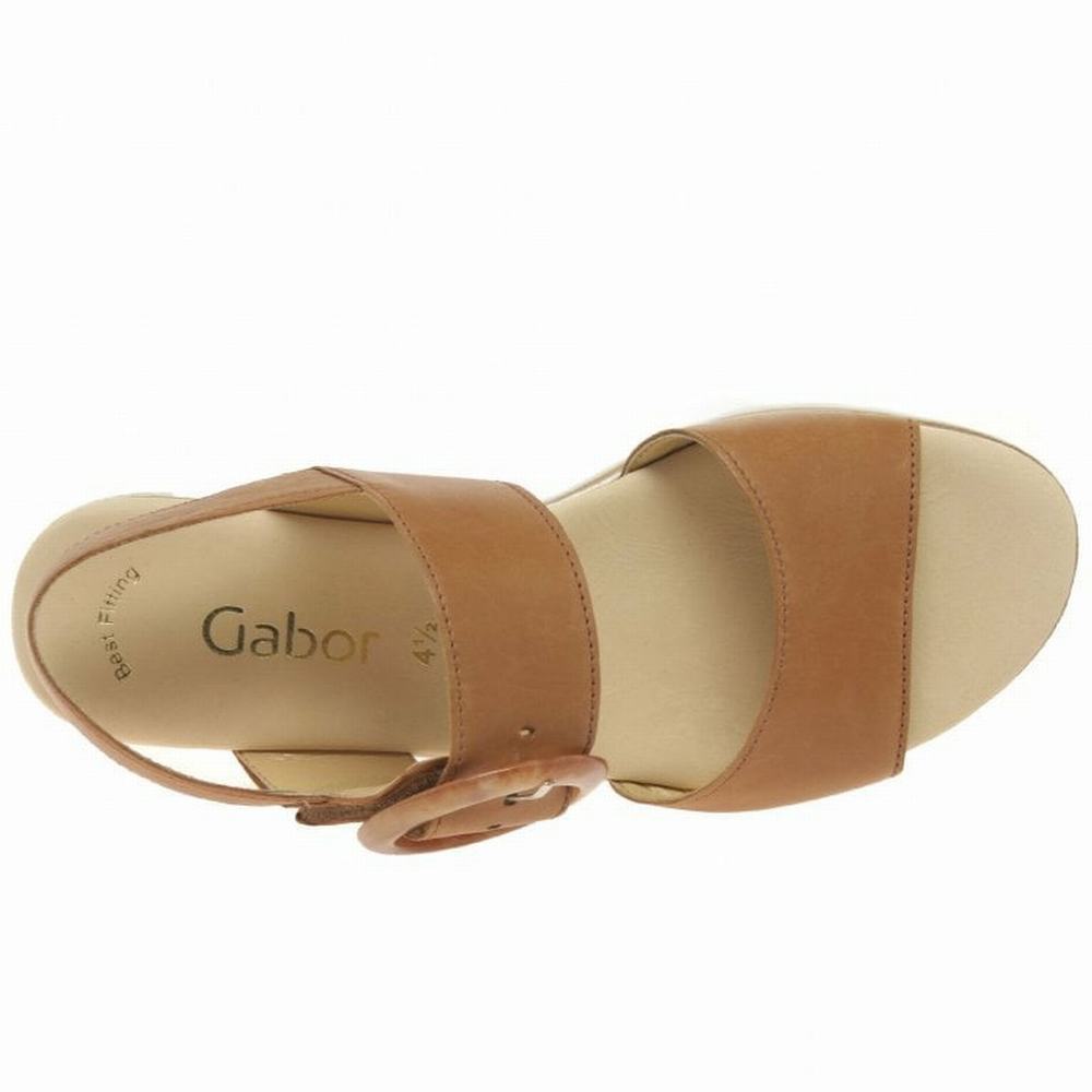 Gabor Yeo Heel Sandals Kilehæl Sandaler Dame Brune | DK0002181